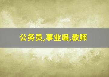 公务员,事业编,教师