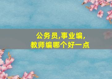 公务员,事业编,教师编哪个好一点