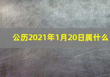 公历2021年1月20日属什么