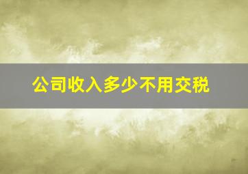 公司收入多少不用交税