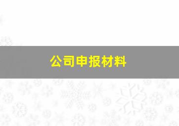 公司申报材料