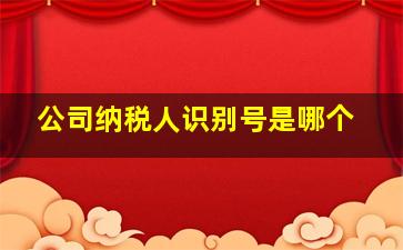 公司纳税人识别号是哪个