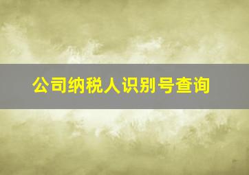 公司纳税人识别号查询