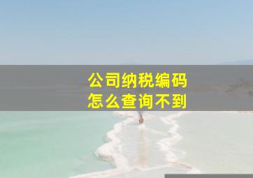 公司纳税编码怎么查询不到