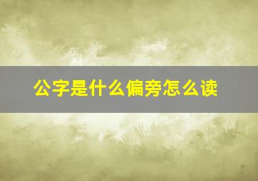 公字是什么偏旁怎么读