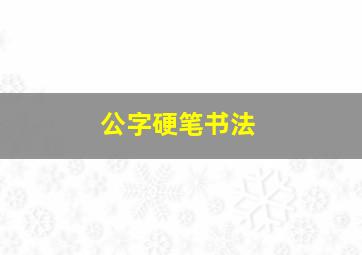 公字硬笔书法