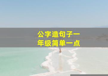 公字造句子一年级简单一点