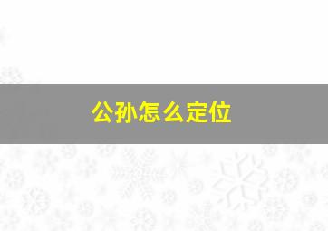 公孙怎么定位