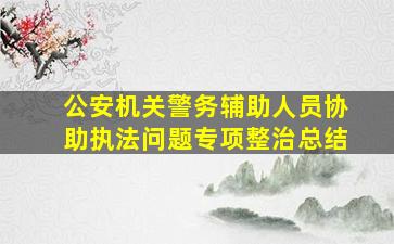 公安机关警务辅助人员协助执法问题专项整治总结