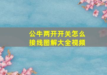 公牛两开开关怎么接线图解大全视频