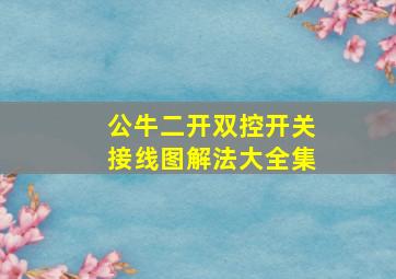 公牛二开双控开关接线图解法大全集