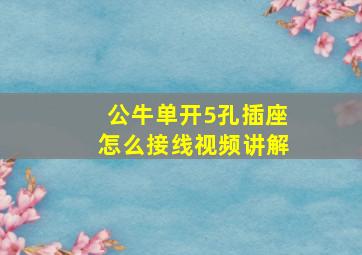 公牛单开5孔插座怎么接线视频讲解