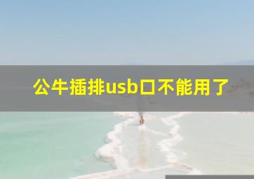 公牛插排usb口不能用了