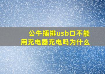 公牛插排usb口不能用充电器充电吗为什么