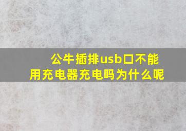 公牛插排usb口不能用充电器充电吗为什么呢