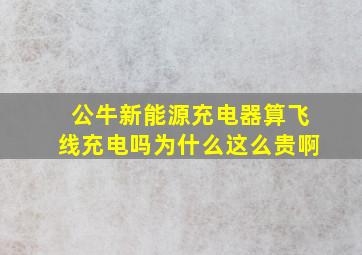 公牛新能源充电器算飞线充电吗为什么这么贵啊