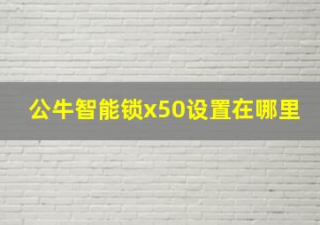 公牛智能锁x50设置在哪里