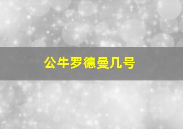 公牛罗德曼几号