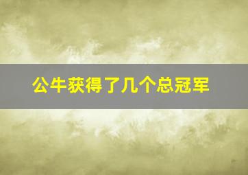 公牛获得了几个总冠军