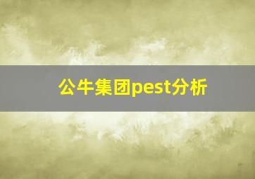 公牛集团pest分析