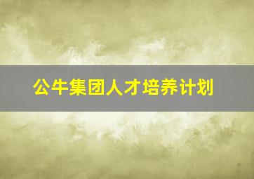 公牛集团人才培养计划