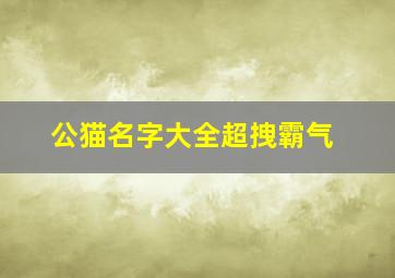 公猫名字大全超拽霸气