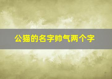 公猫的名字帅气两个字