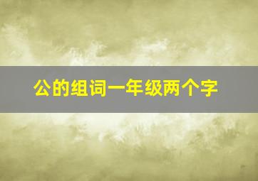 公的组词一年级两个字