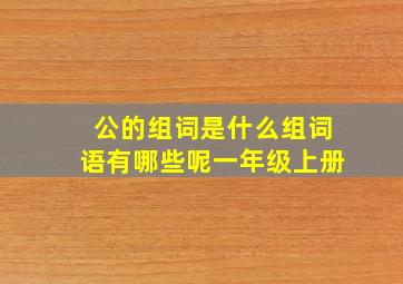 公的组词是什么组词语有哪些呢一年级上册