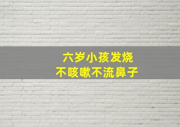 六岁小孩发烧不咳嗽不流鼻子