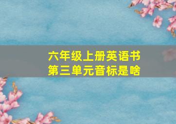 六年级上册英语书第三单元音标是啥