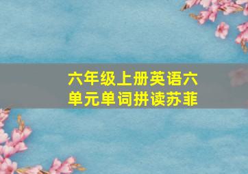 六年级上册英语六单元单词拼读苏菲