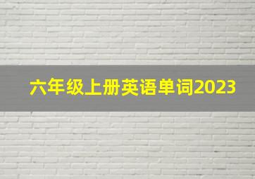 六年级上册英语单词2023