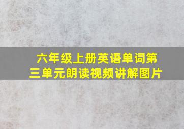 六年级上册英语单词第三单元朗读视频讲解图片