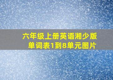 六年级上册英语湘少版单词表1到8单元图片