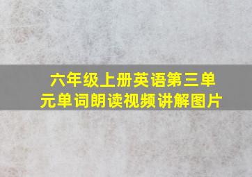 六年级上册英语第三单元单词朗读视频讲解图片