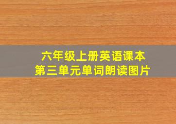 六年级上册英语课本第三单元单词朗读图片