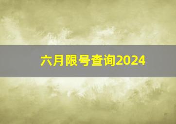 六月限号查询2024