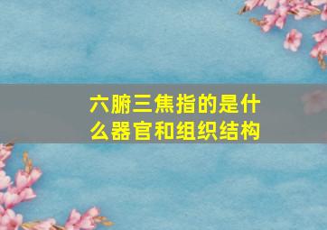 六腑三焦指的是什么器官和组织结构