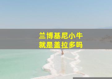 兰博基尼小牛就是盖拉多吗