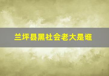 兰坪县黑社会老大是谁