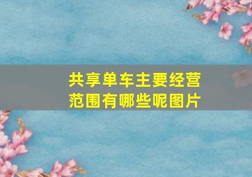 共享单车主要经营范围有哪些呢图片