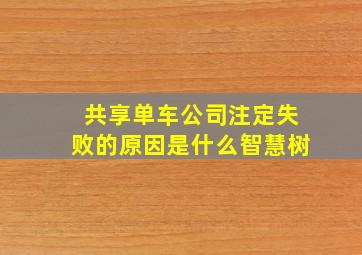 共享单车公司注定失败的原因是什么智慧树