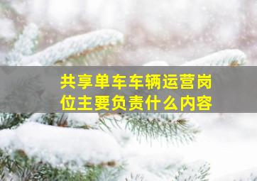 共享单车车辆运营岗位主要负责什么内容