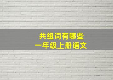 共组词有哪些一年级上册语文