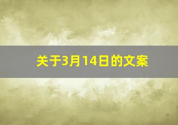 关于3月14日的文案