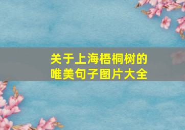 关于上海梧桐树的唯美句子图片大全