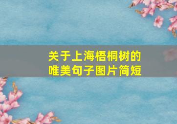 关于上海梧桐树的唯美句子图片简短