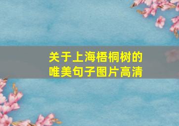 关于上海梧桐树的唯美句子图片高清