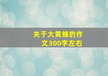 关于大黄蜂的作文300字左右